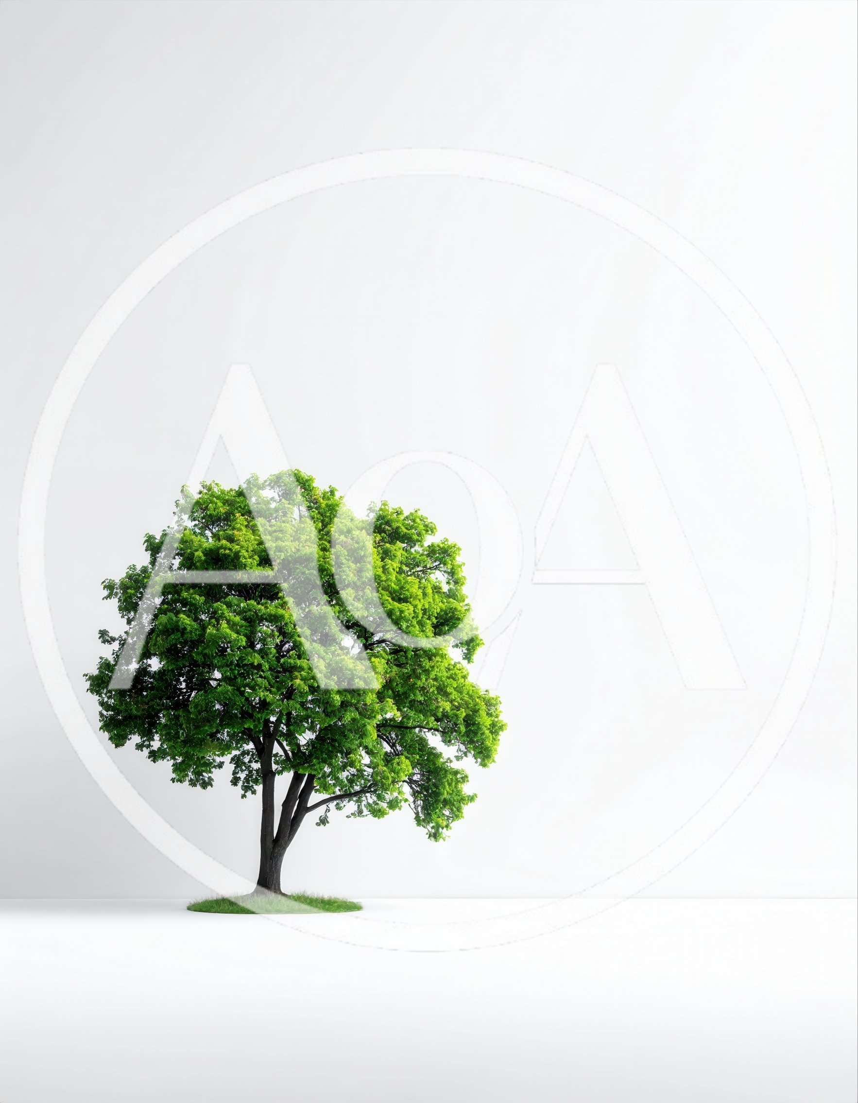 Single Lush Green Tree Isolated On White Background