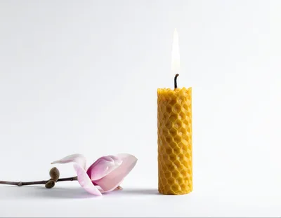 Beeswax Honeycomb Candle With Magnolia Flower
