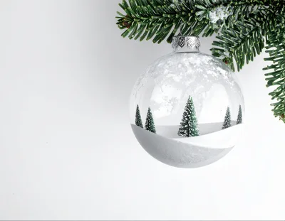 Clear Glass Christmas Ornament With Miniature Forest Scene