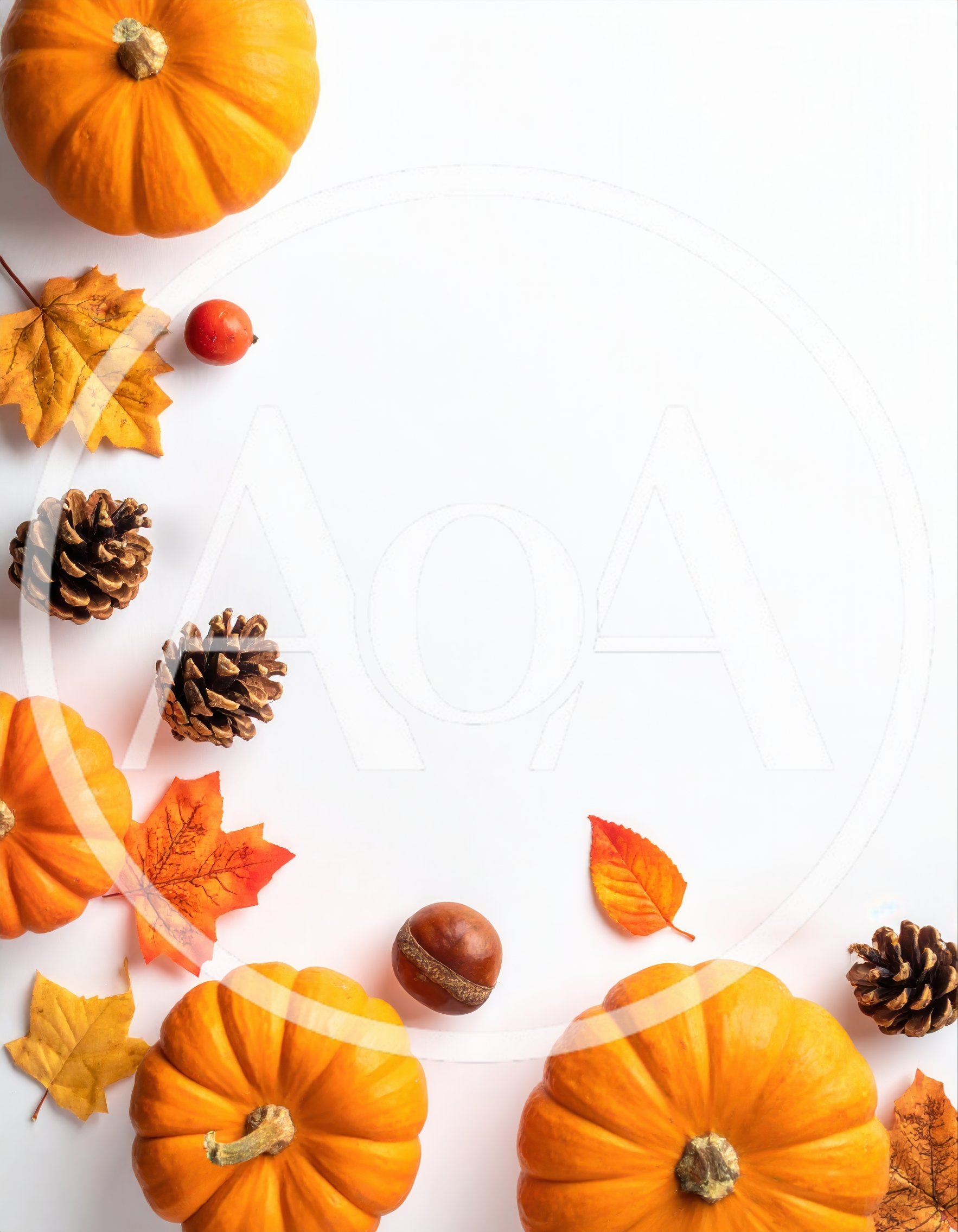 Autumn Harvest Flat Lay With Pumpkins And Pinecones