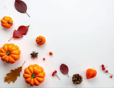 Autumnal Flat Lay With Pumpkins And Fall Foliage