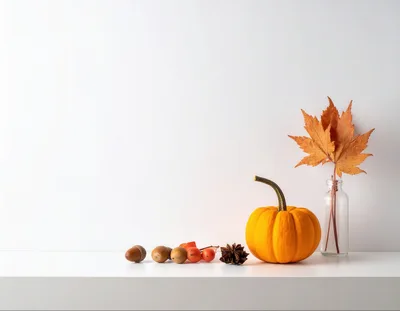Autumn Still Life With Pumpkin And Maple Leaves