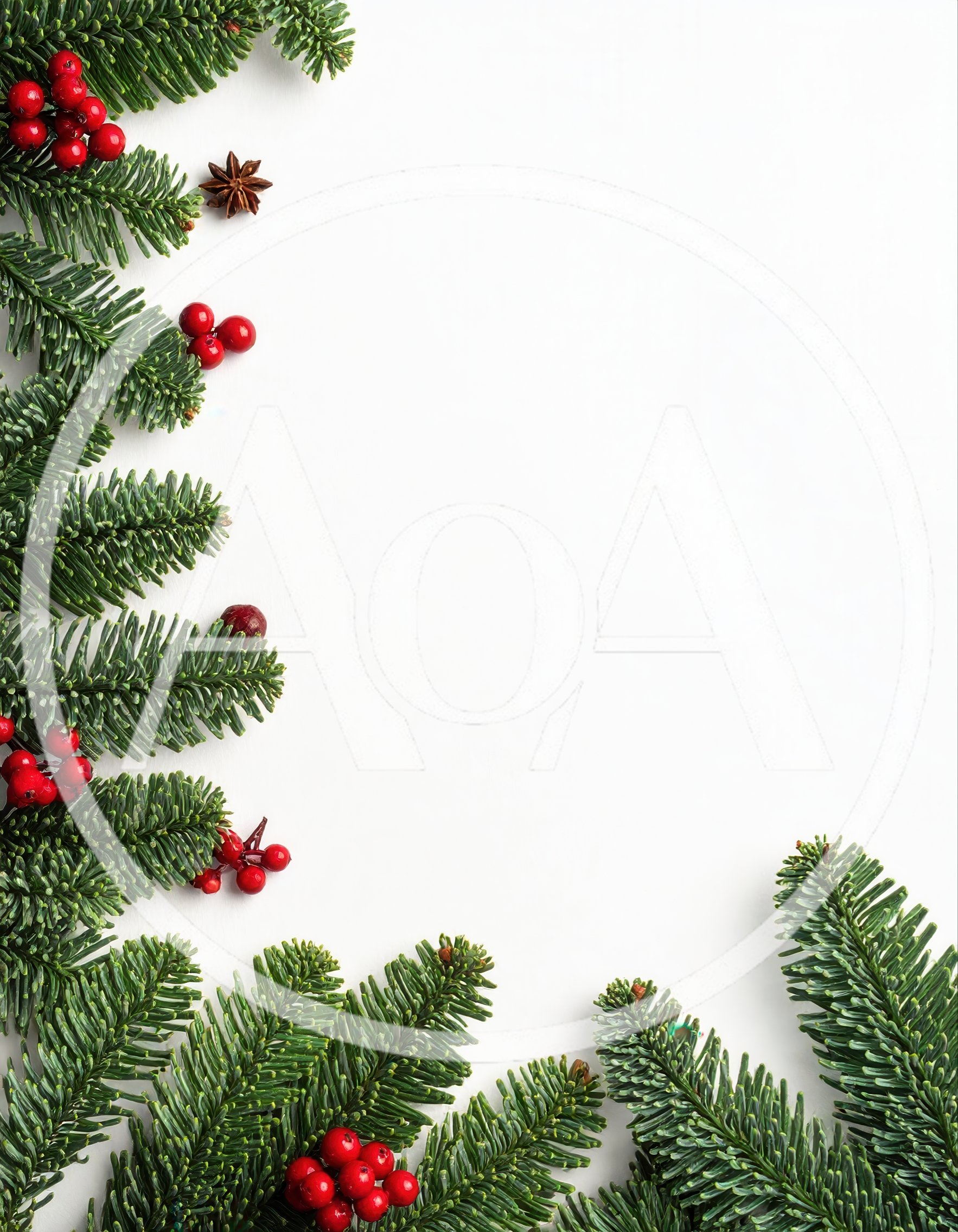 Christmas Fir Branches With Red Berries Border