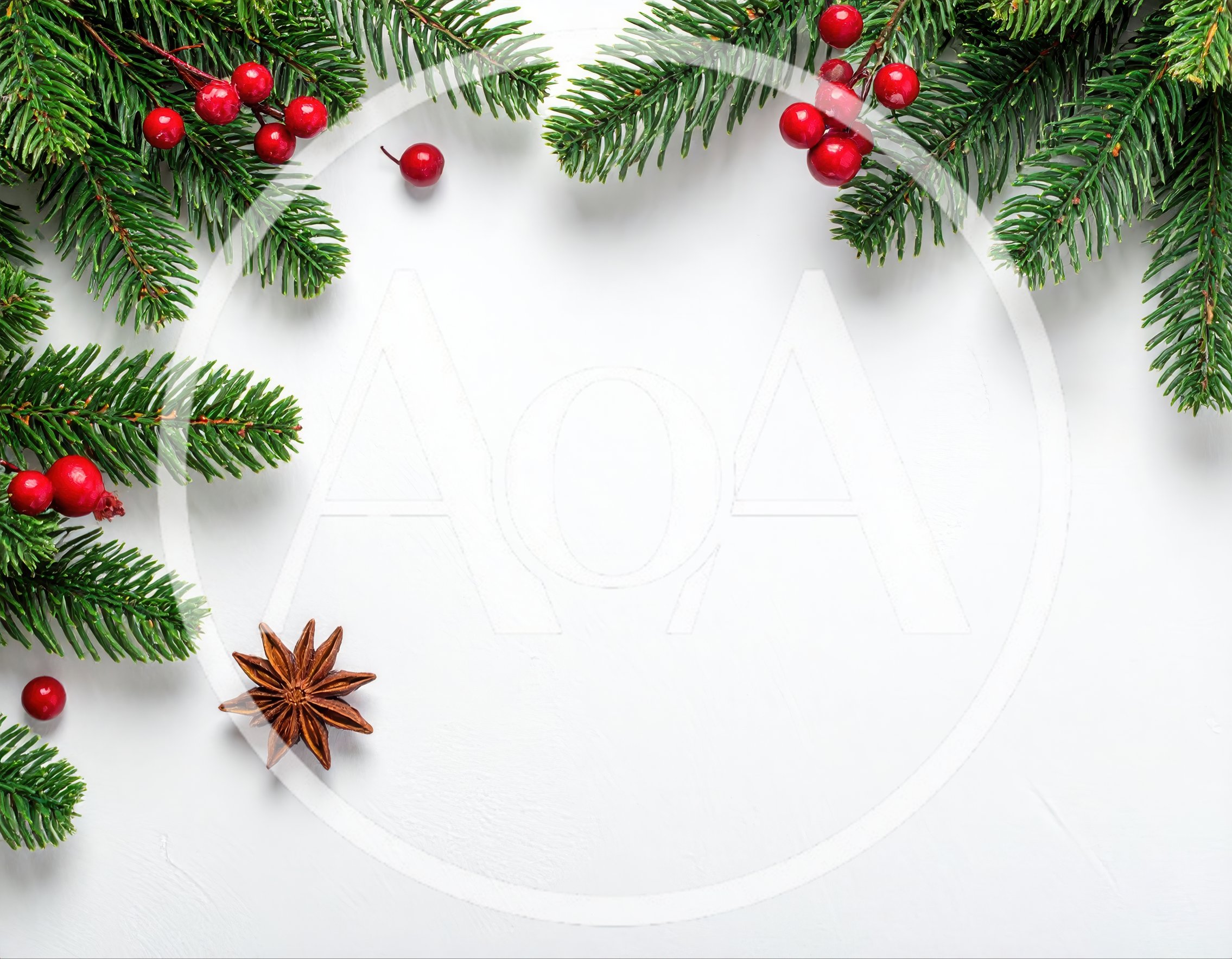 Christmas Pine Branches With Red Berries And Star Anise