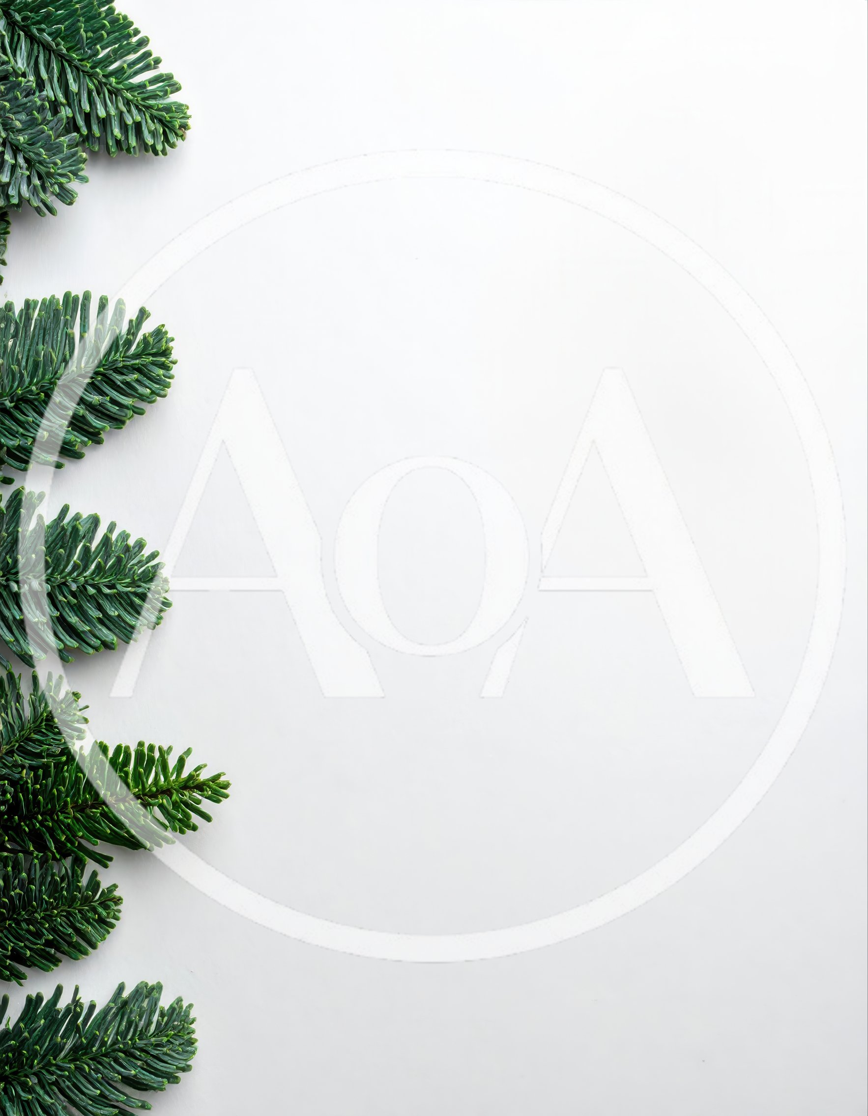 Evergreen Fir Branches Border on White Background