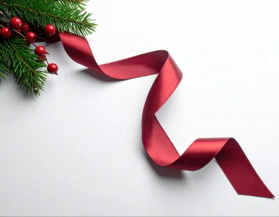Christmas Pine Branch With Red Ribbon