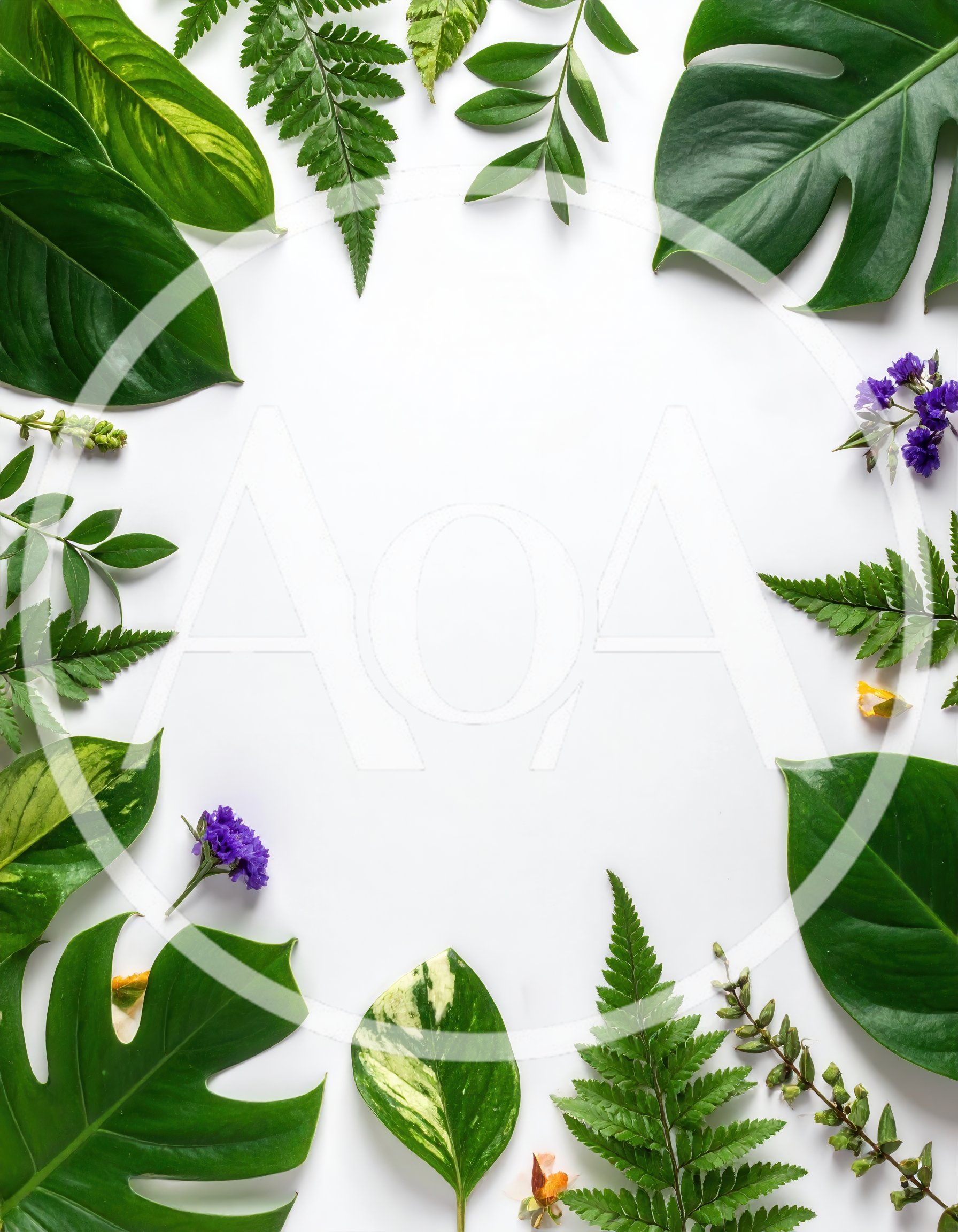 Tropical Leaf Frame With Purple Flowers On White Background