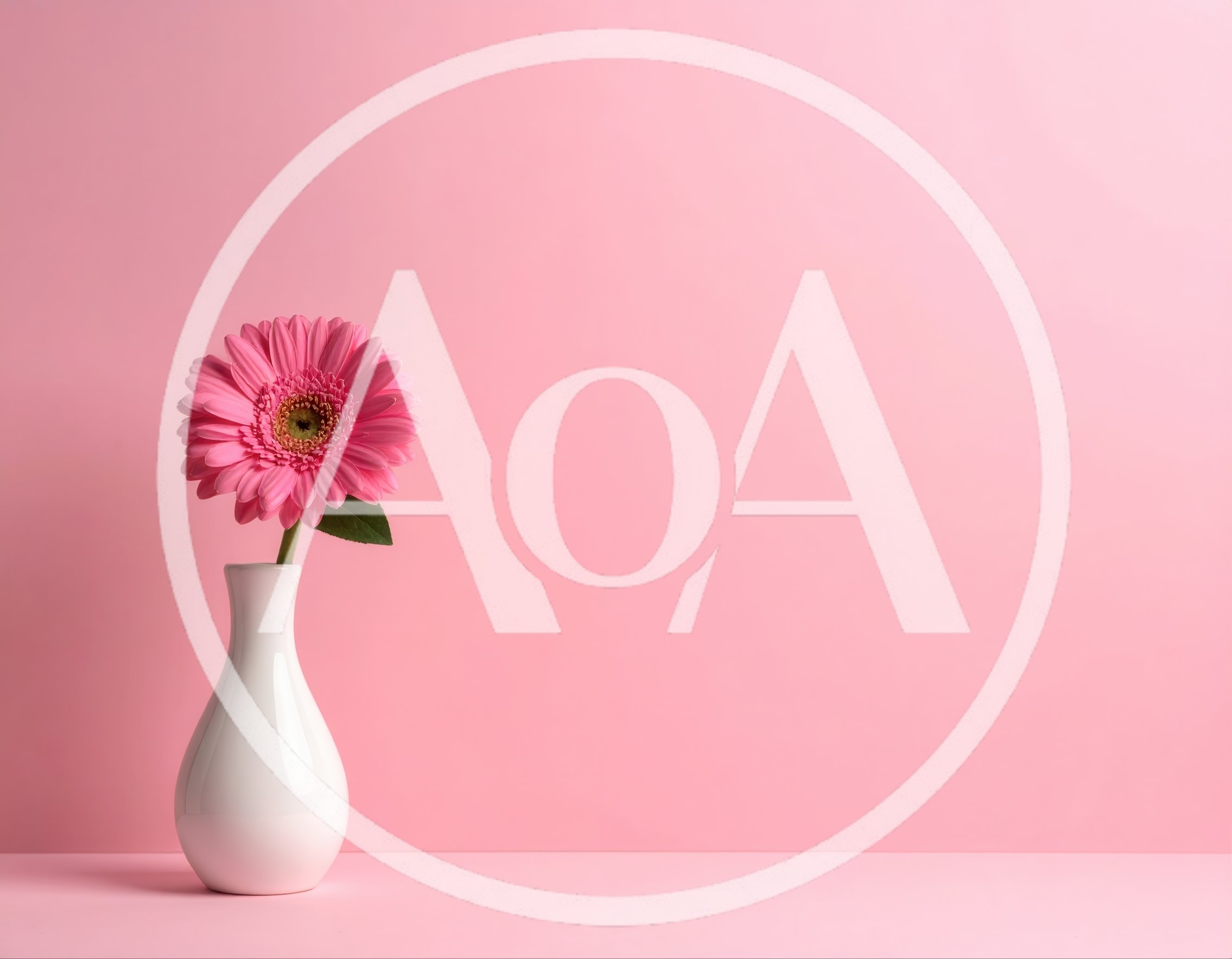 Single Pink Gerbera Daisy in White Vase