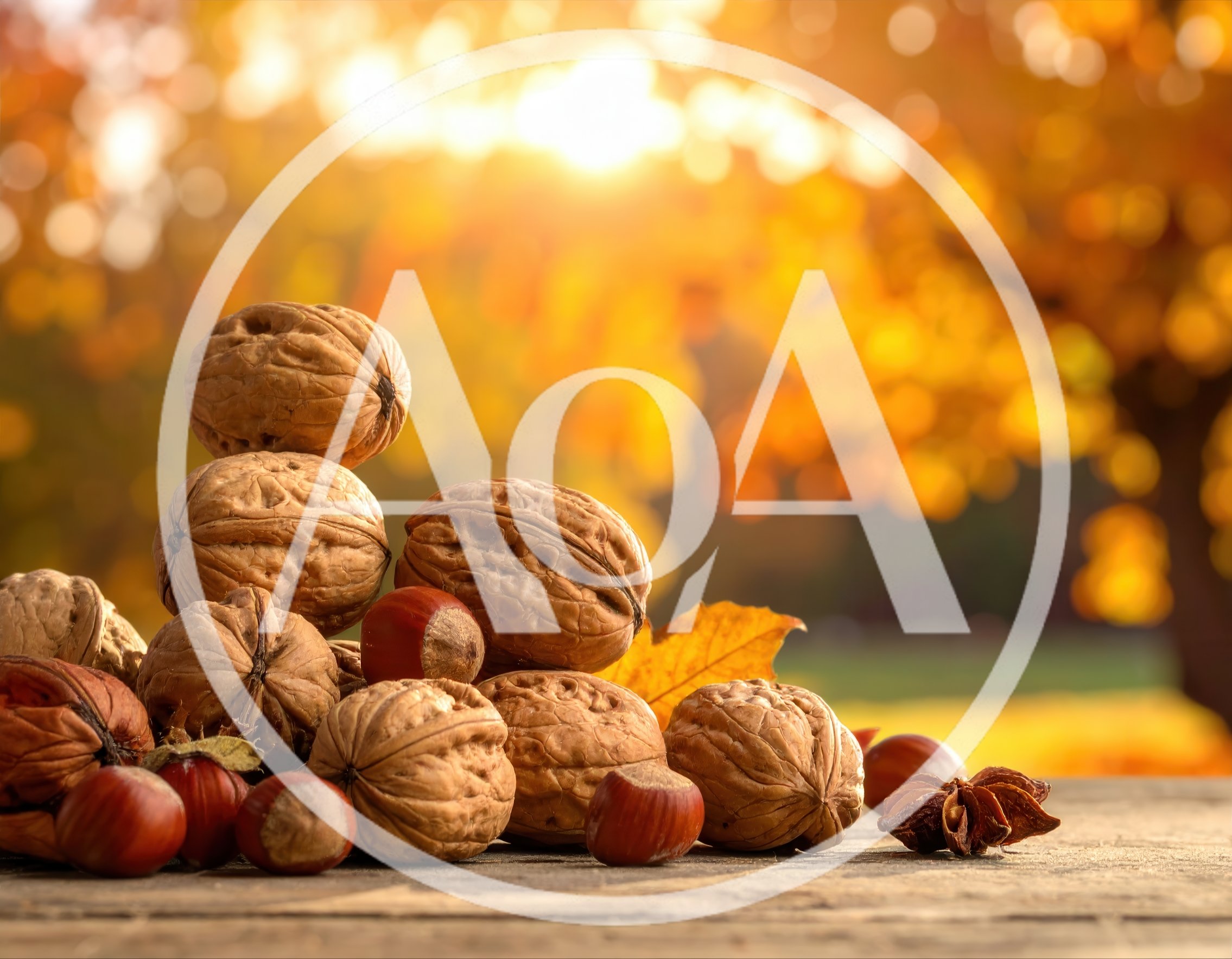 Walnuts and Hazelnuts on Wooden Table in Autumn