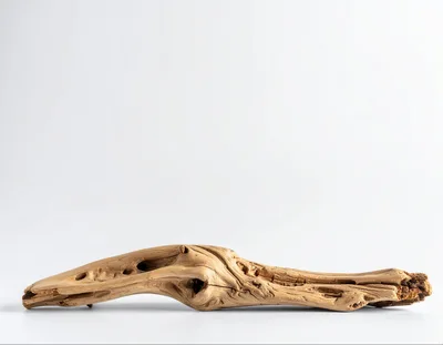 Weathered Driftwood Branch On White Background