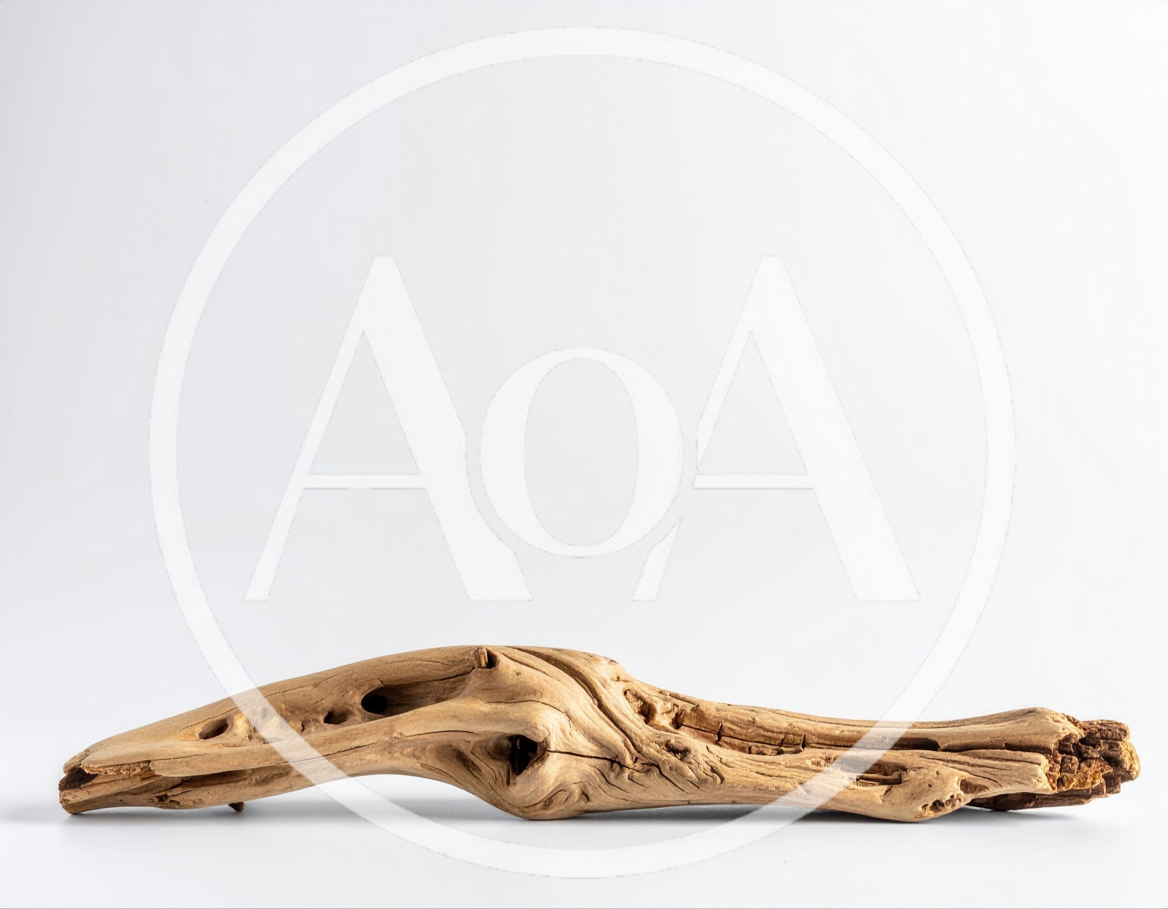 Weathered Driftwood Branch On White Background