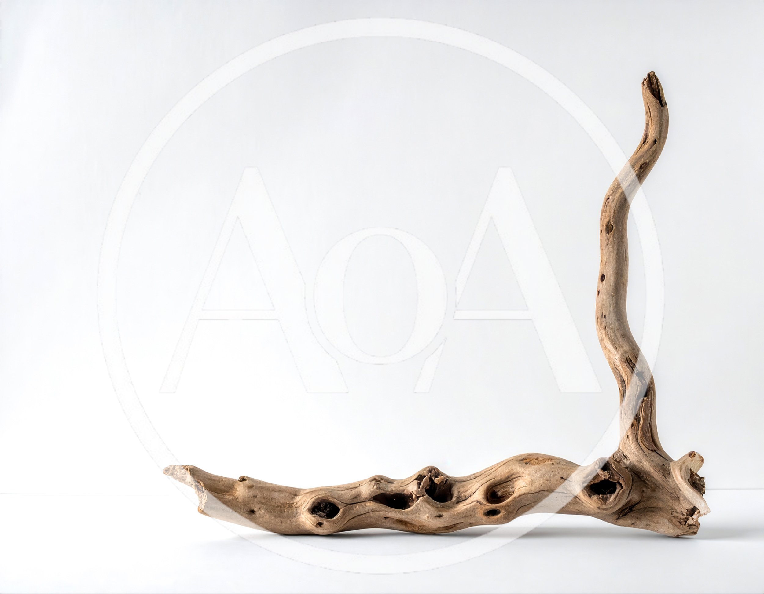 Natural Driftwood Branch On White Background