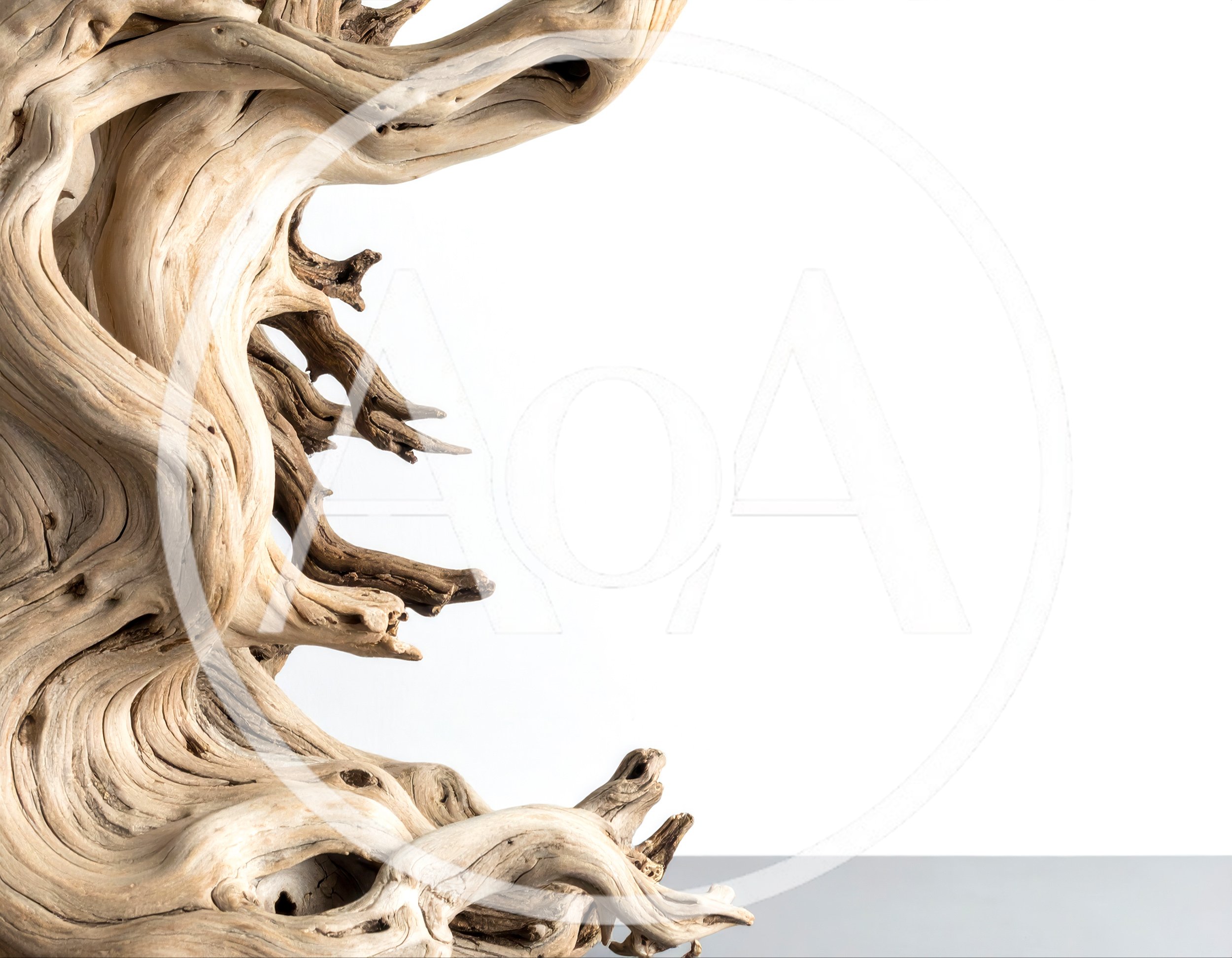 Weathered Driftwood Sculpture On White Background