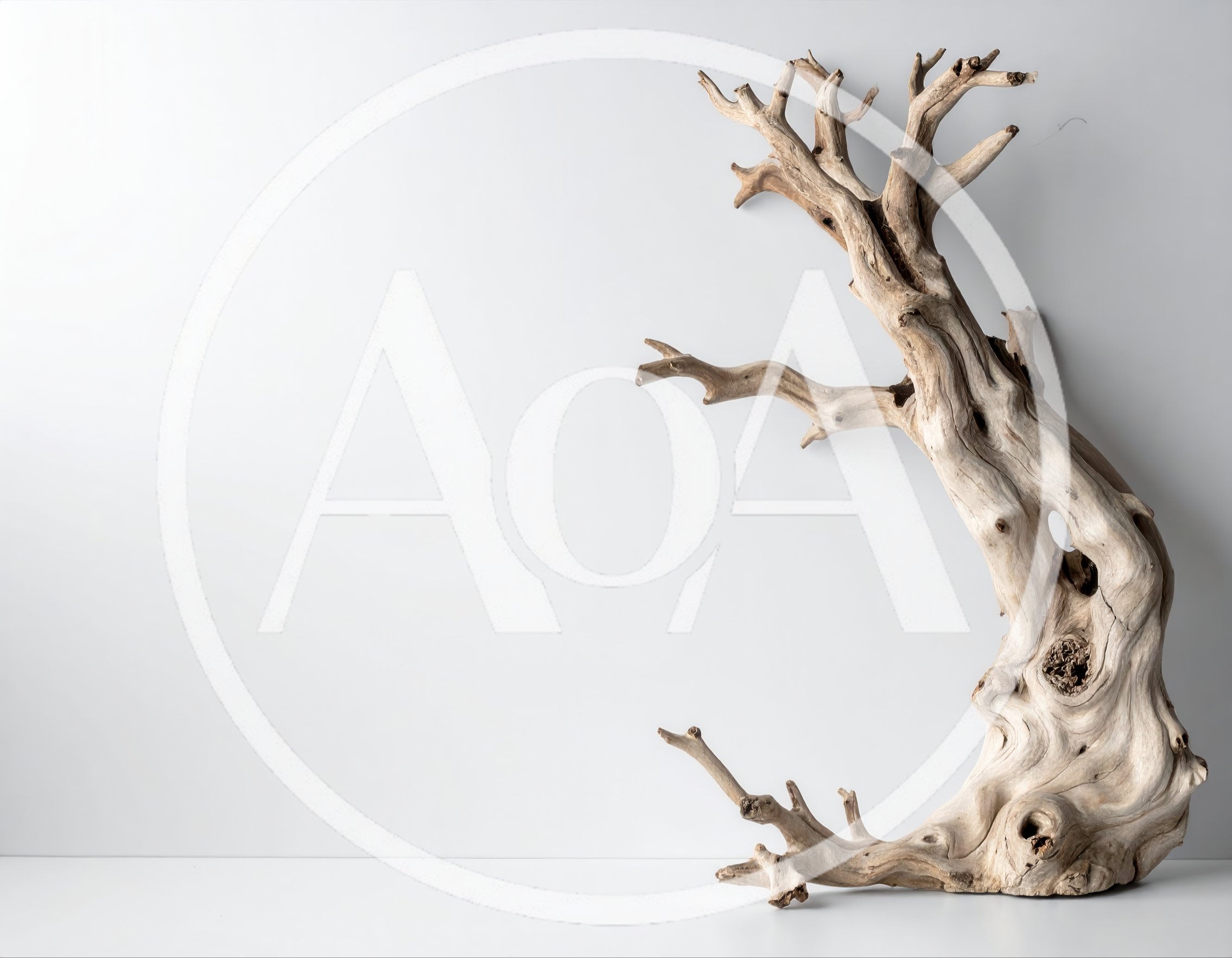 Weathered Driftwood Sculpture Against A Plain White Background