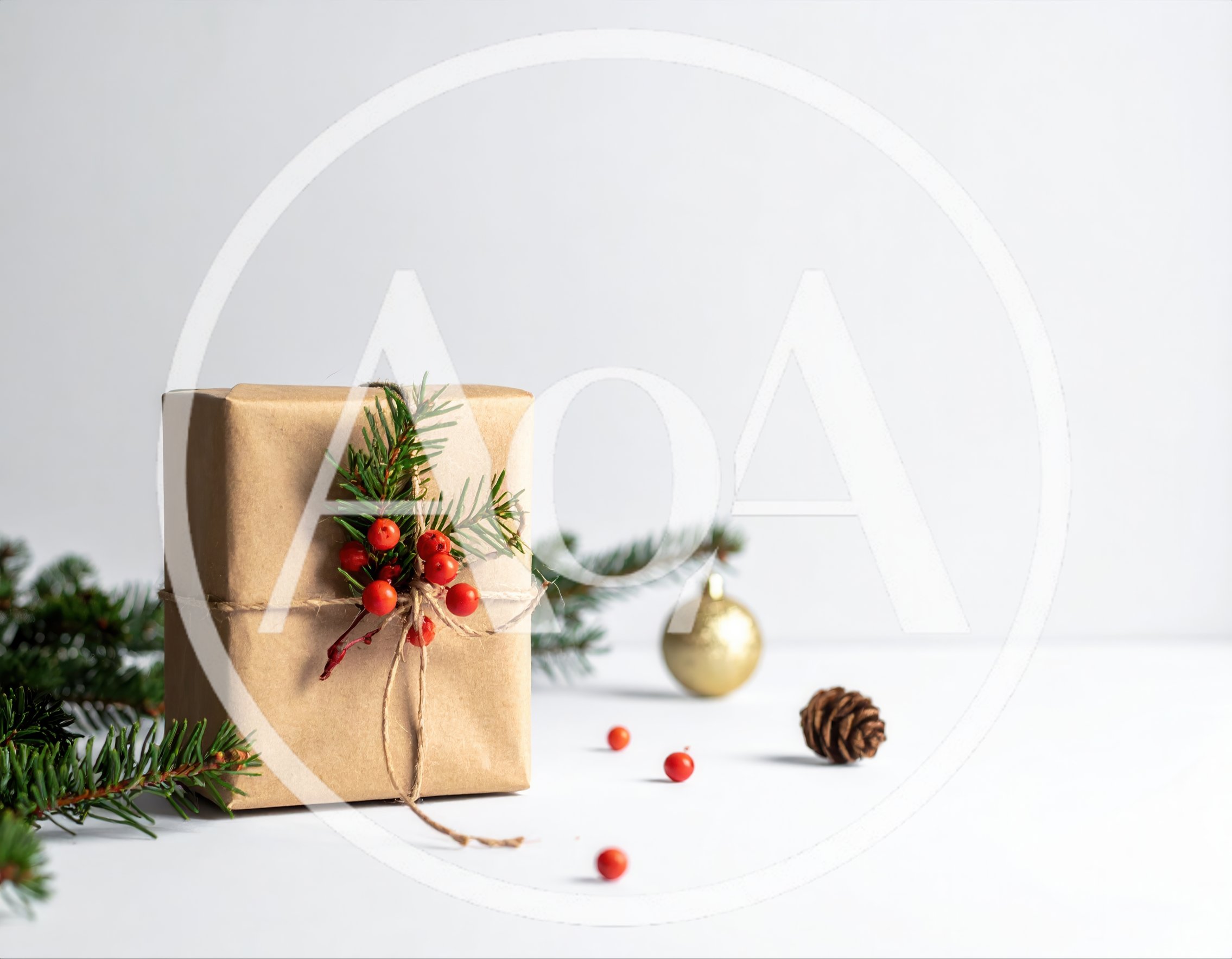 Christmas Gift Wrapped in Brown Paper with Berries