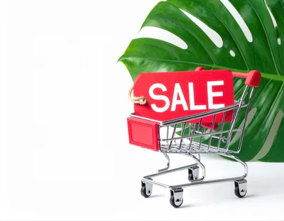 Miniature Shopping Cart With Sale Tag And Monstera Leaf