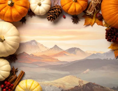 Autumnal Flat Lay With Pumpkins And Mountain Landscape