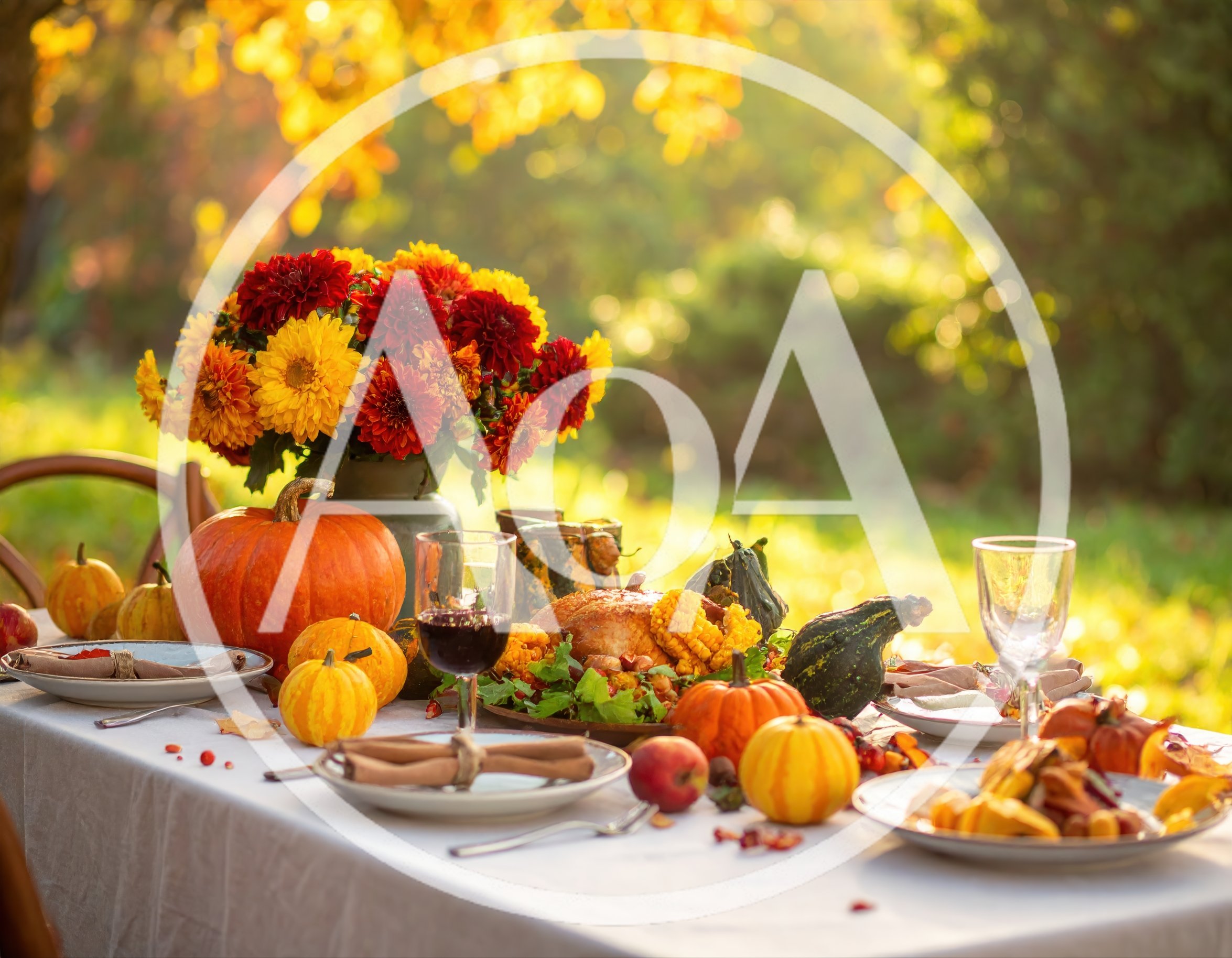 Thanksgiving Dinner Table Setting Outdoors
