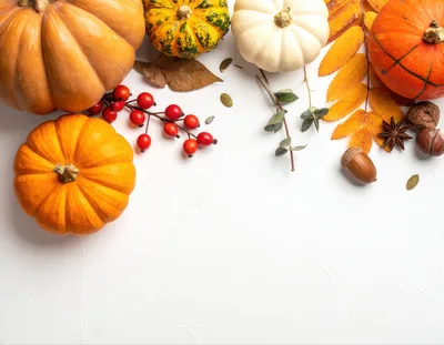 Autumn Harvest Flat Lay With Pumpkins And Foliage