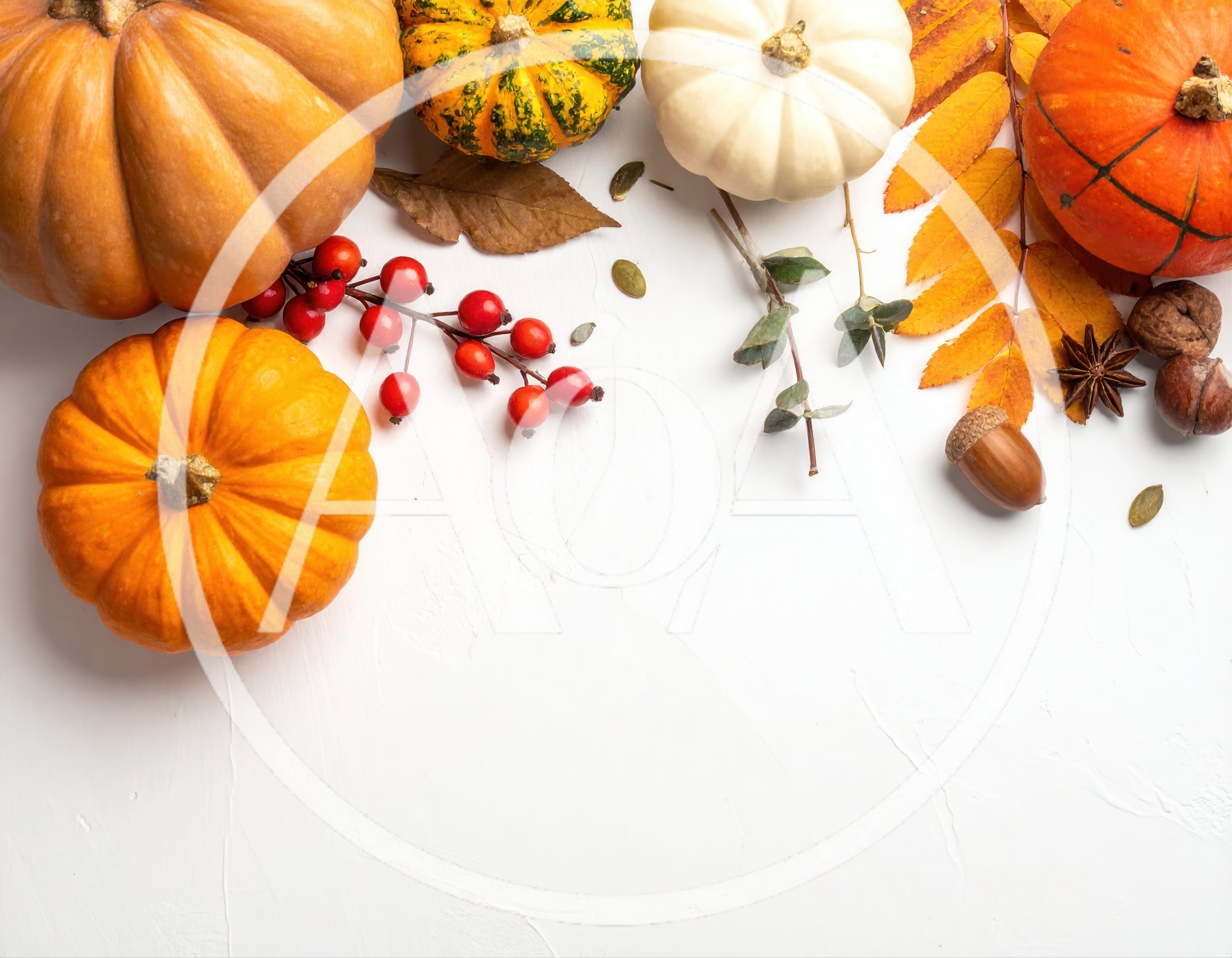Autumn Harvest Flat Lay With Pumpkins And Foliage
