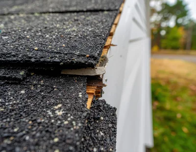 Damaged Roof Shingles And Exposed Wood Trim