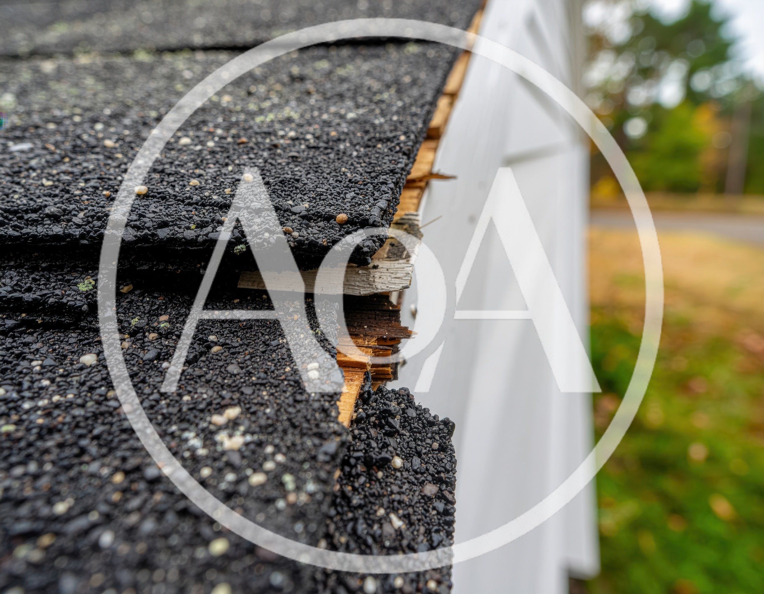 Damaged Roof Shingles And Exposed Wood Trim