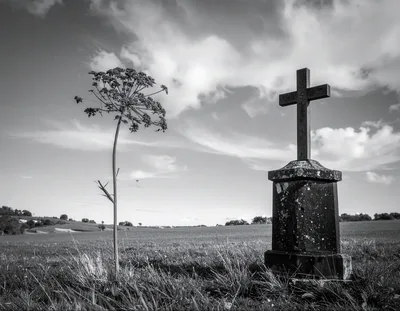 Black and White Stone Cross in Open Field