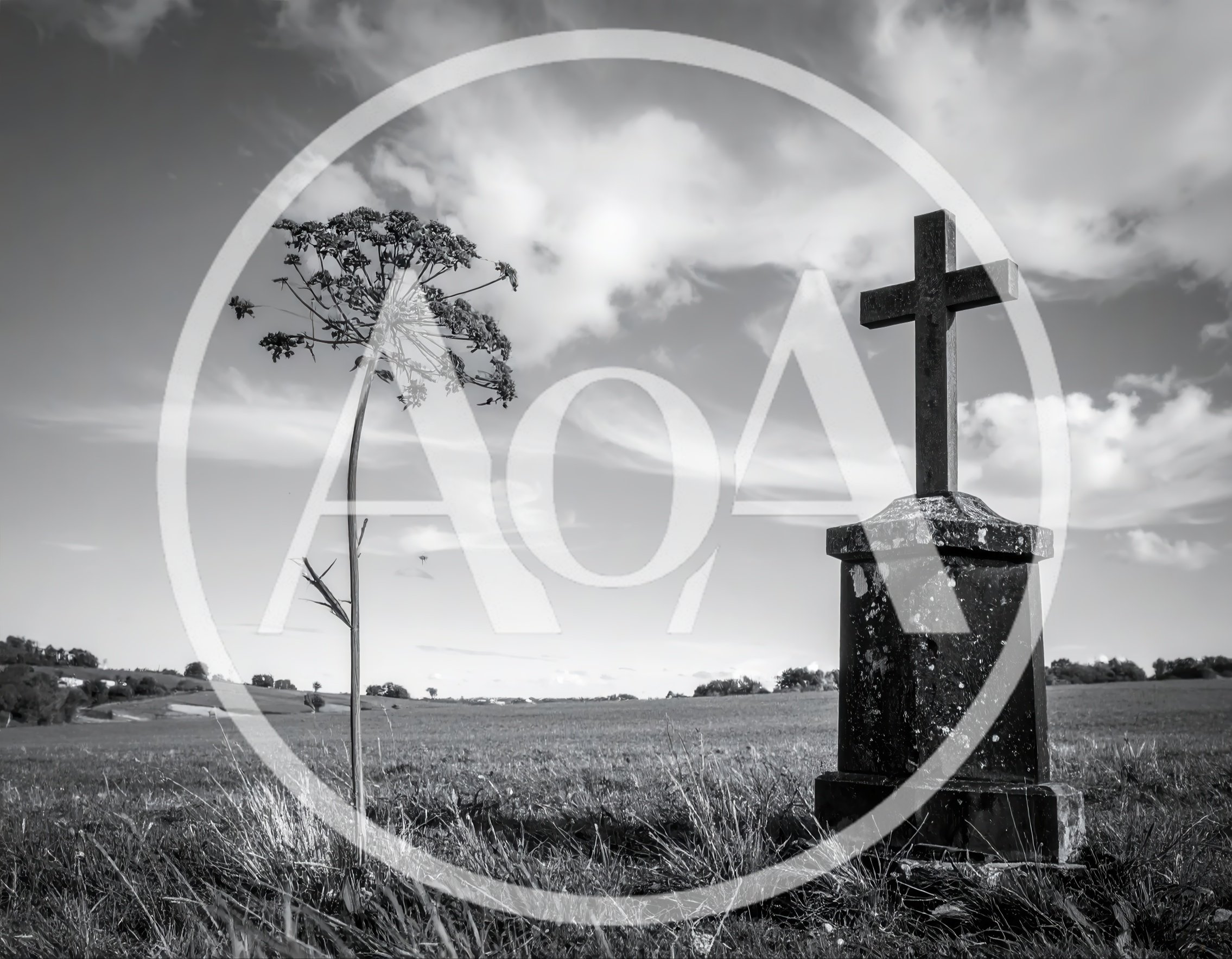 Black and White Stone Cross in Open Field