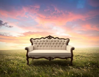 Vintage Tufted Sofa Sitting In A Grassy Field