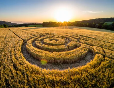 Aerial View Of A Spiral Crop Circle In Wheat Field