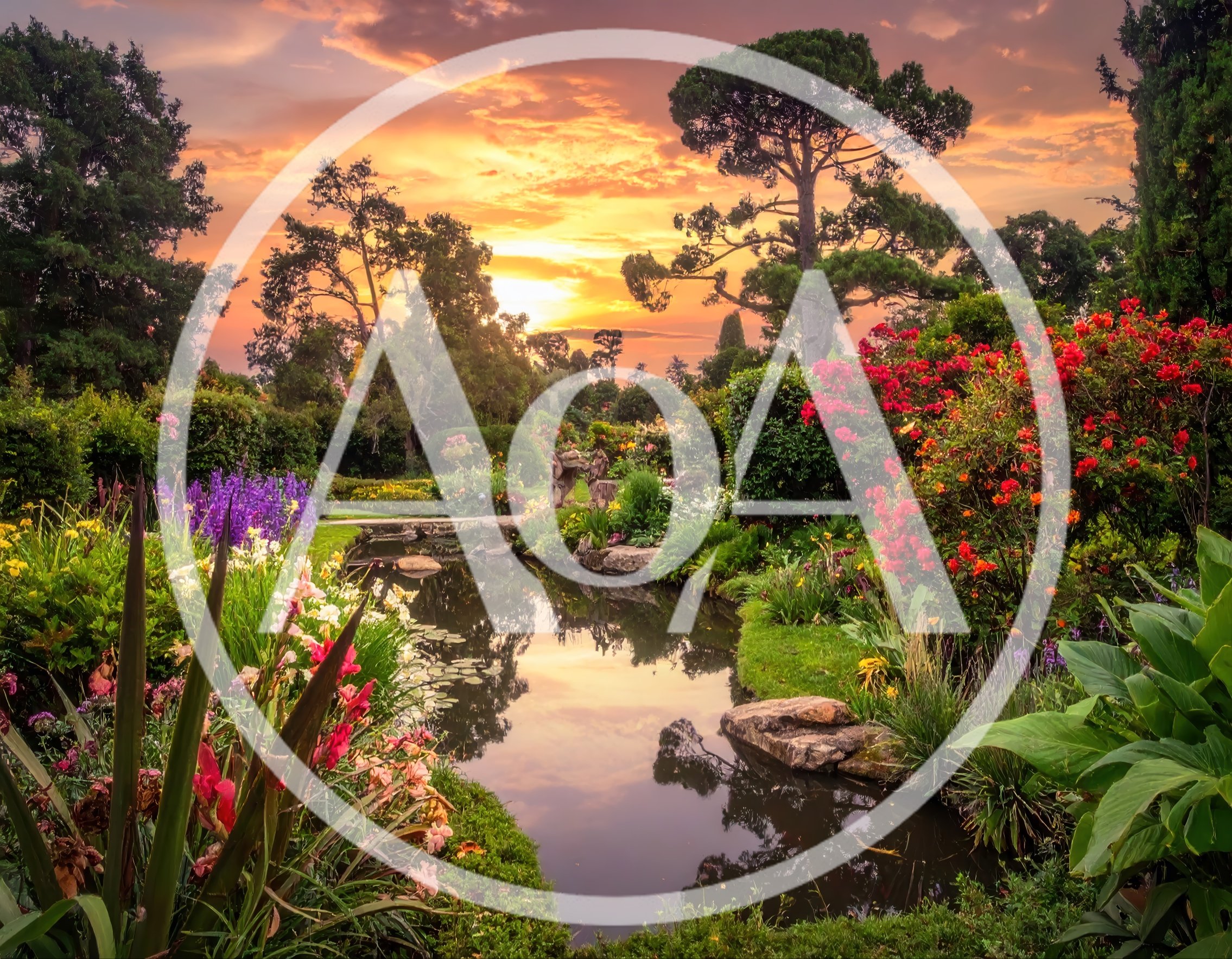 Serene Garden Pond at Sunset with Vibrant Flowers