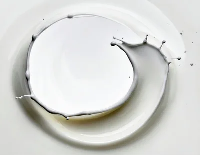 White Milk Splash Forming A Circular Ripple