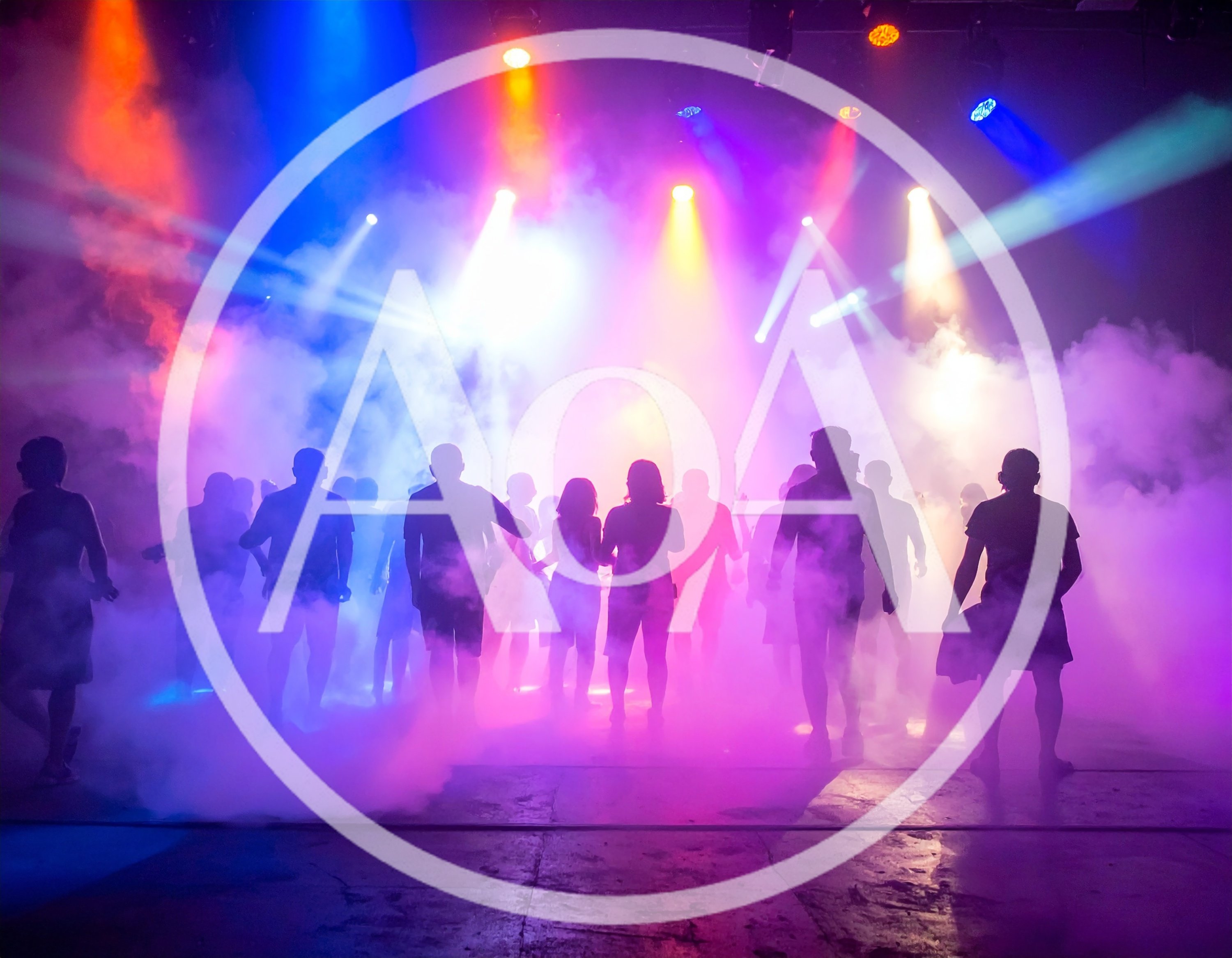 Silhouetted Crowd Dancing In A Foggy Nightclub
