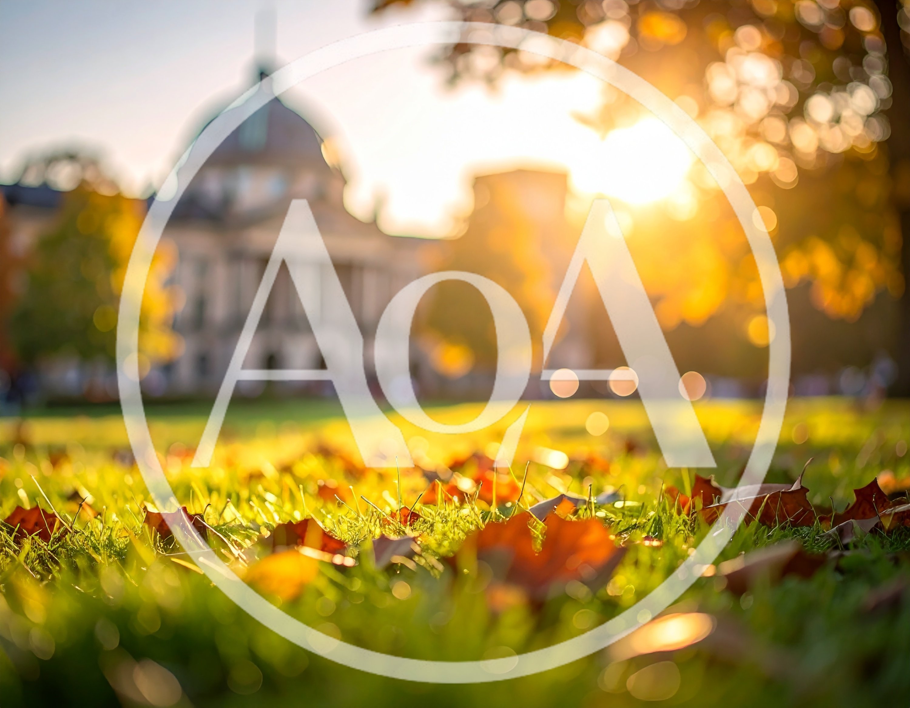 Autumn Leaves On Grass With Blurred University Building Background