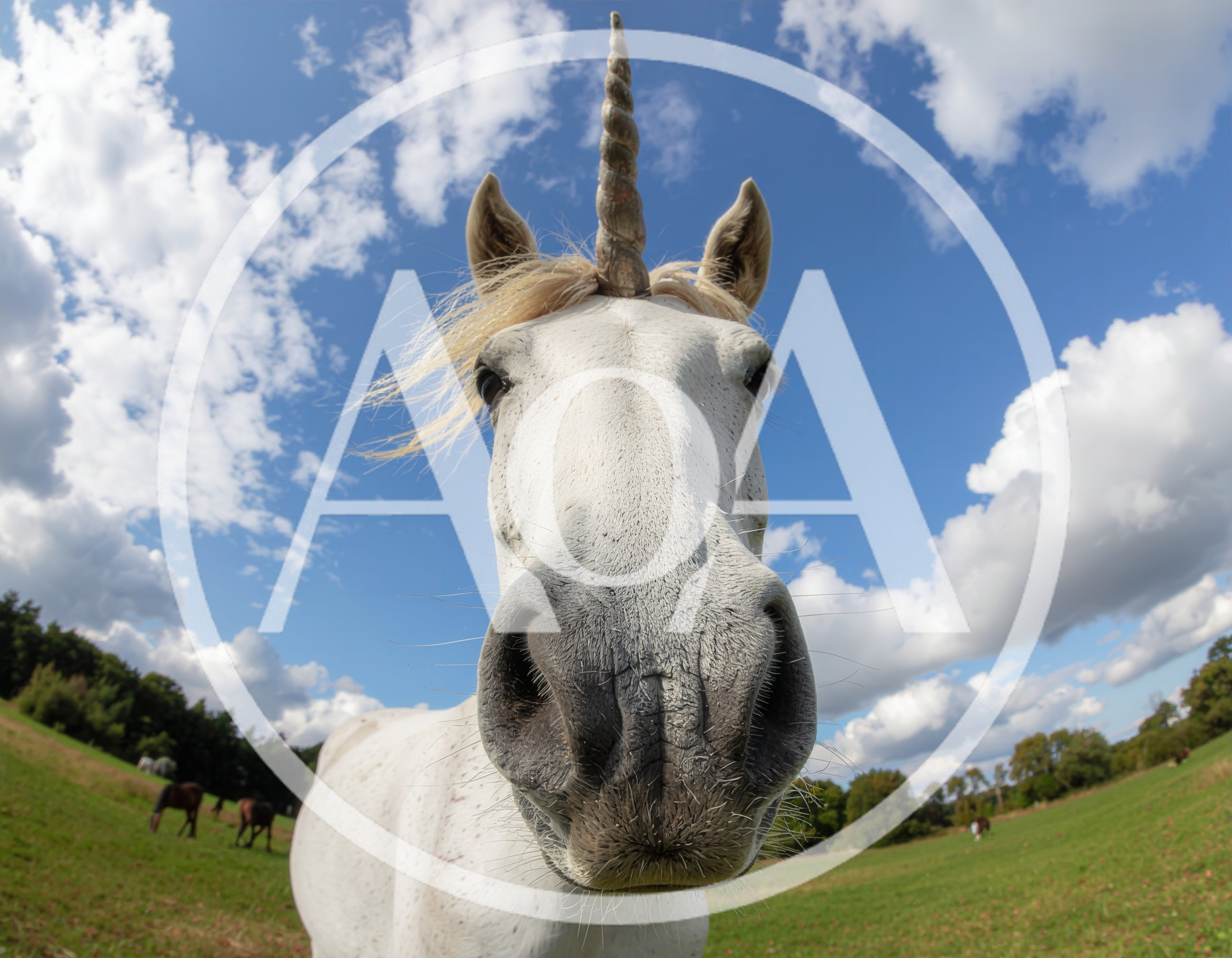 Close Up Portrait Of A White Unicorn In A Field