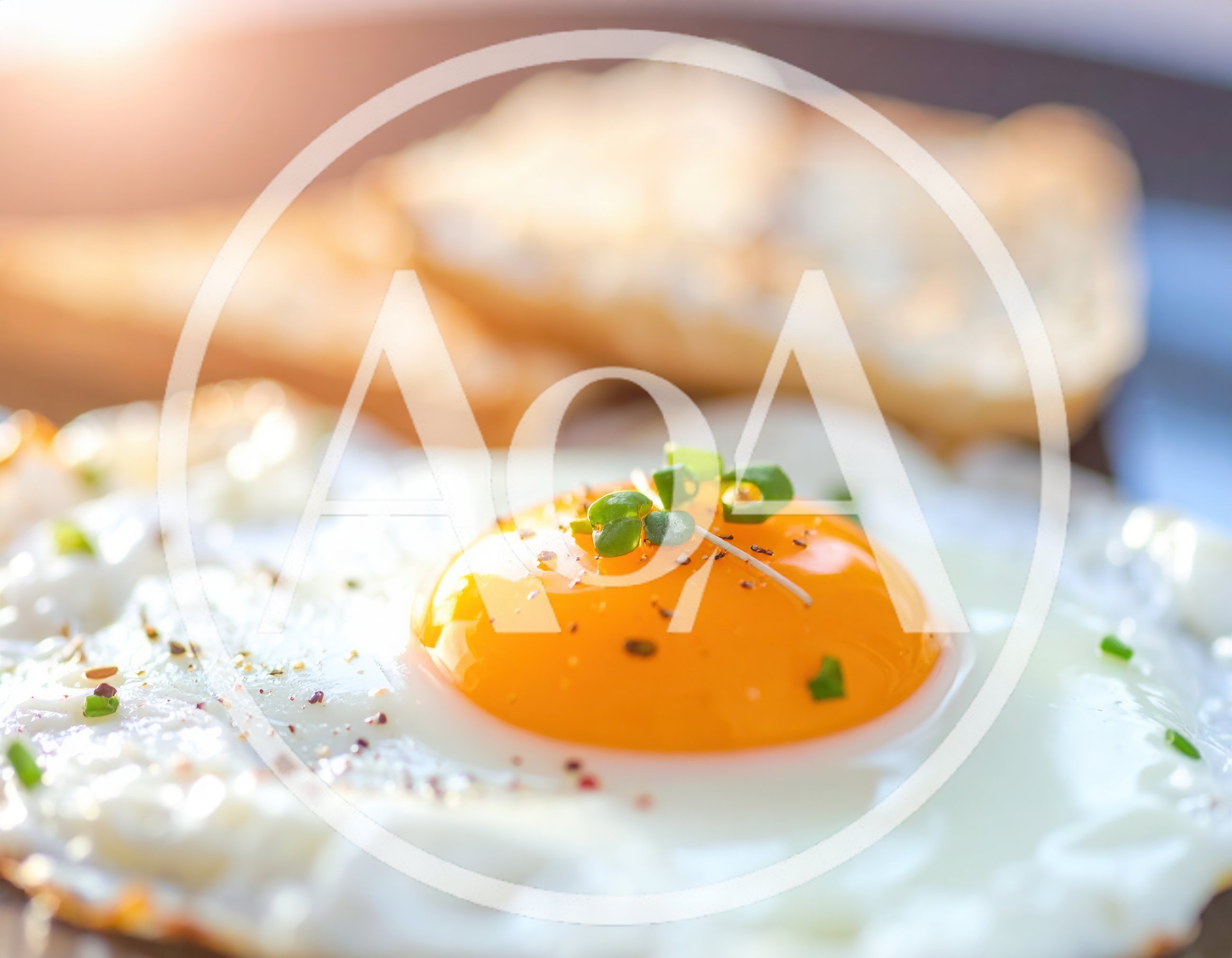 Sunny Side Up Egg With Toast