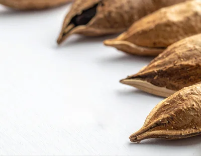 Macro Shot Of Almonds In Shells On White Surface