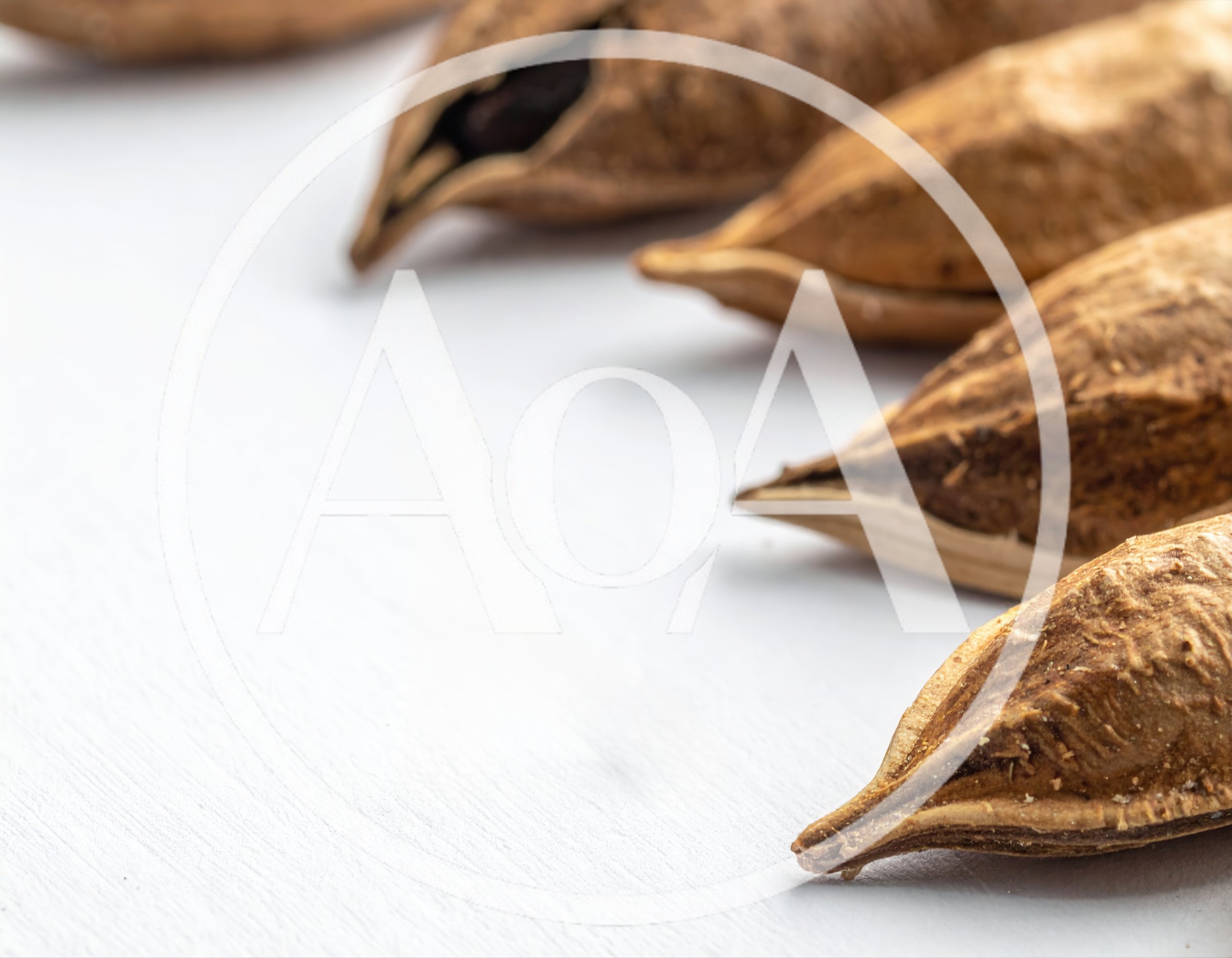 Macro Shot Of Almonds In Shells On White Surface