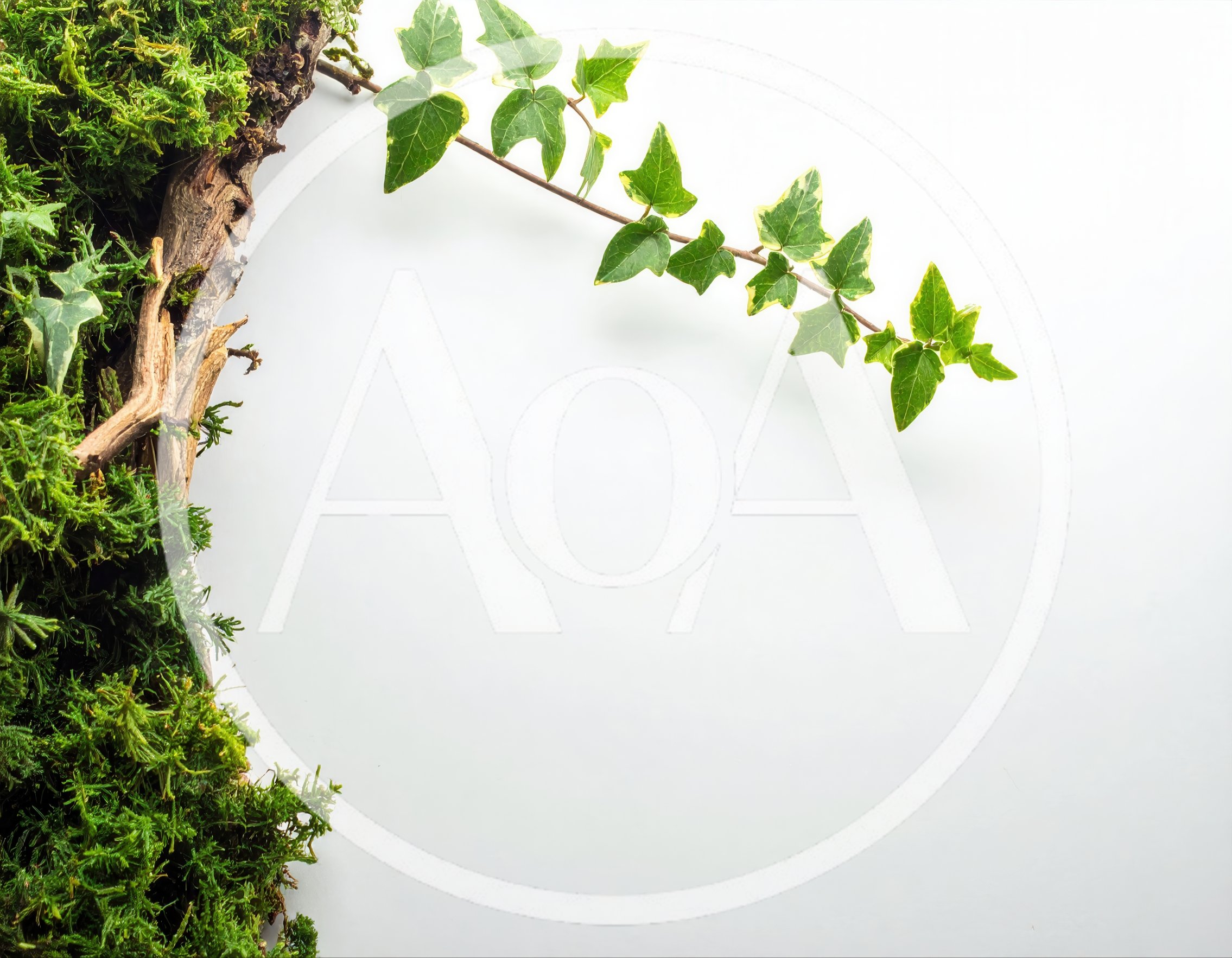 Ivy Vine And Moss Border On White Background