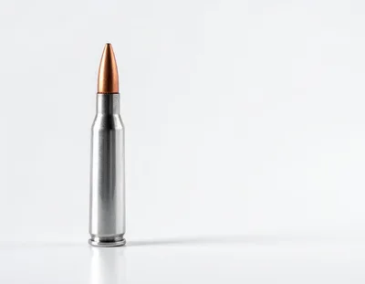 Single Rifle Cartridge Standing Upright