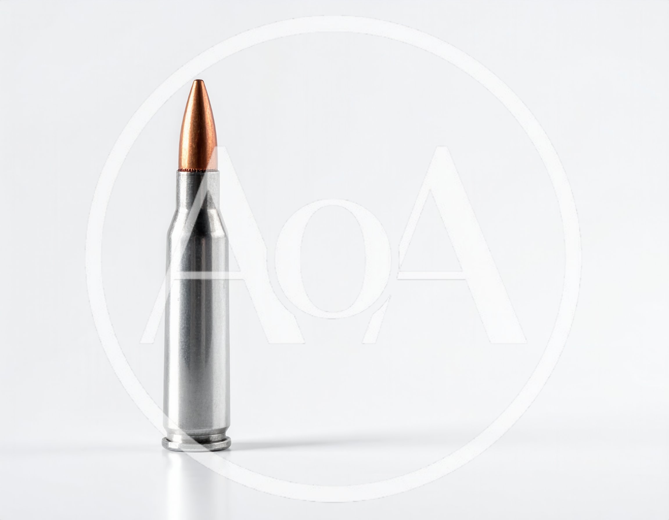 Single Rifle Cartridge Standing Upright
