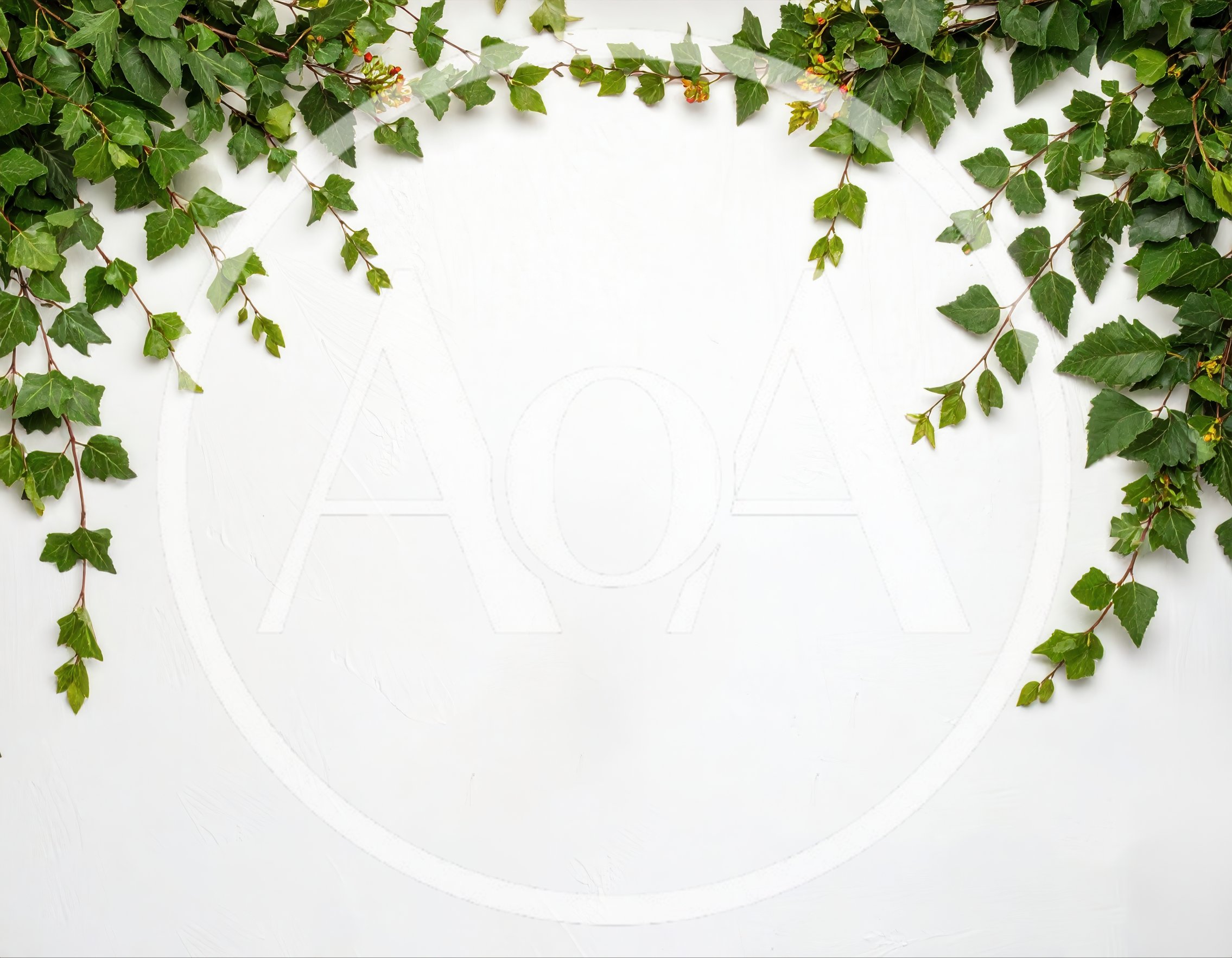 Green Ivy Vines Bordering A White Textured Background