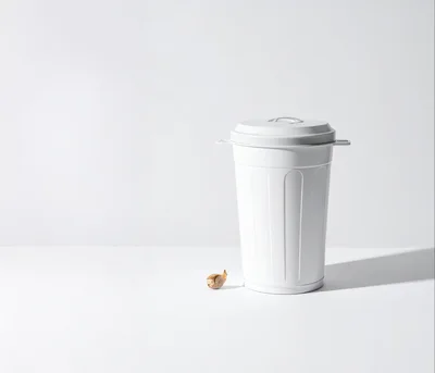 White Trash Can With A Single Garlic Clove