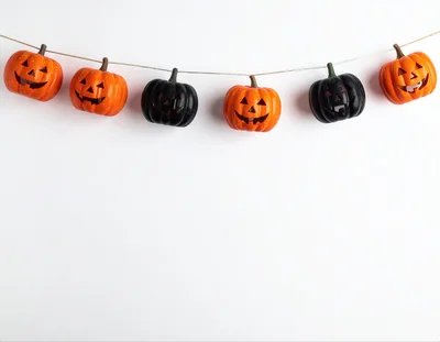 Halloween Pumpkin Garland Hanging On White Background