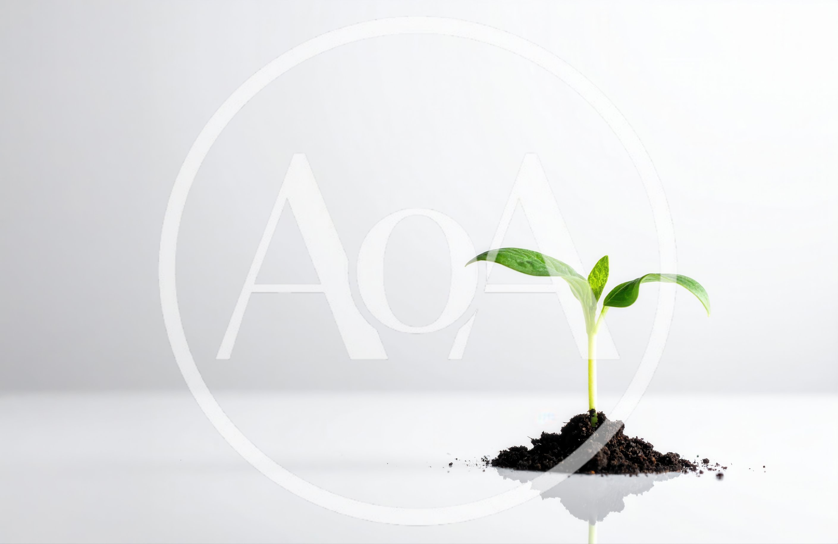 Small Green Sprout Growing From Soil