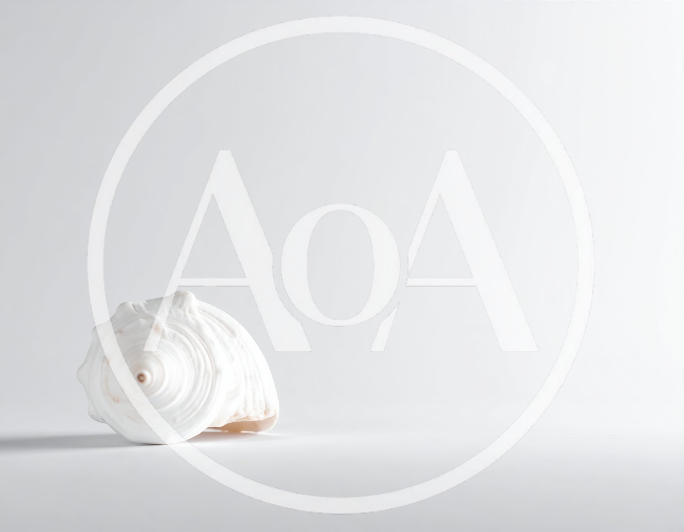 White Seashell Isolated On A Clean White Background