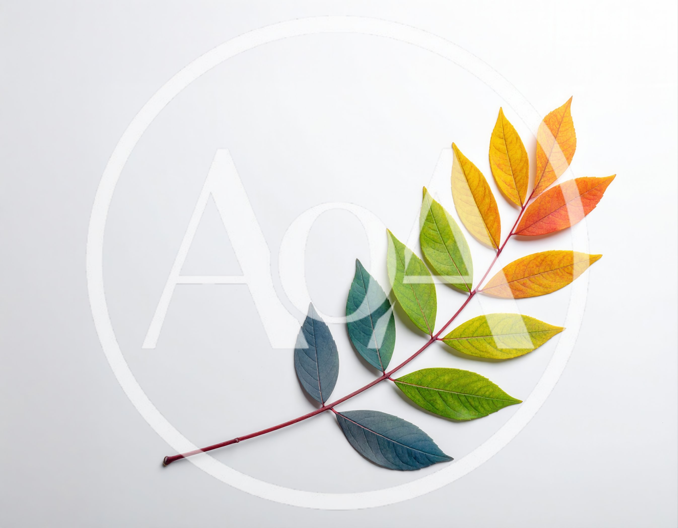 Gradient Colored Autumn Leaf Branch on White Background