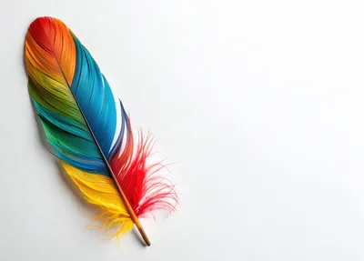 Vibrant Multi-Colored Parrot Feather on White Background