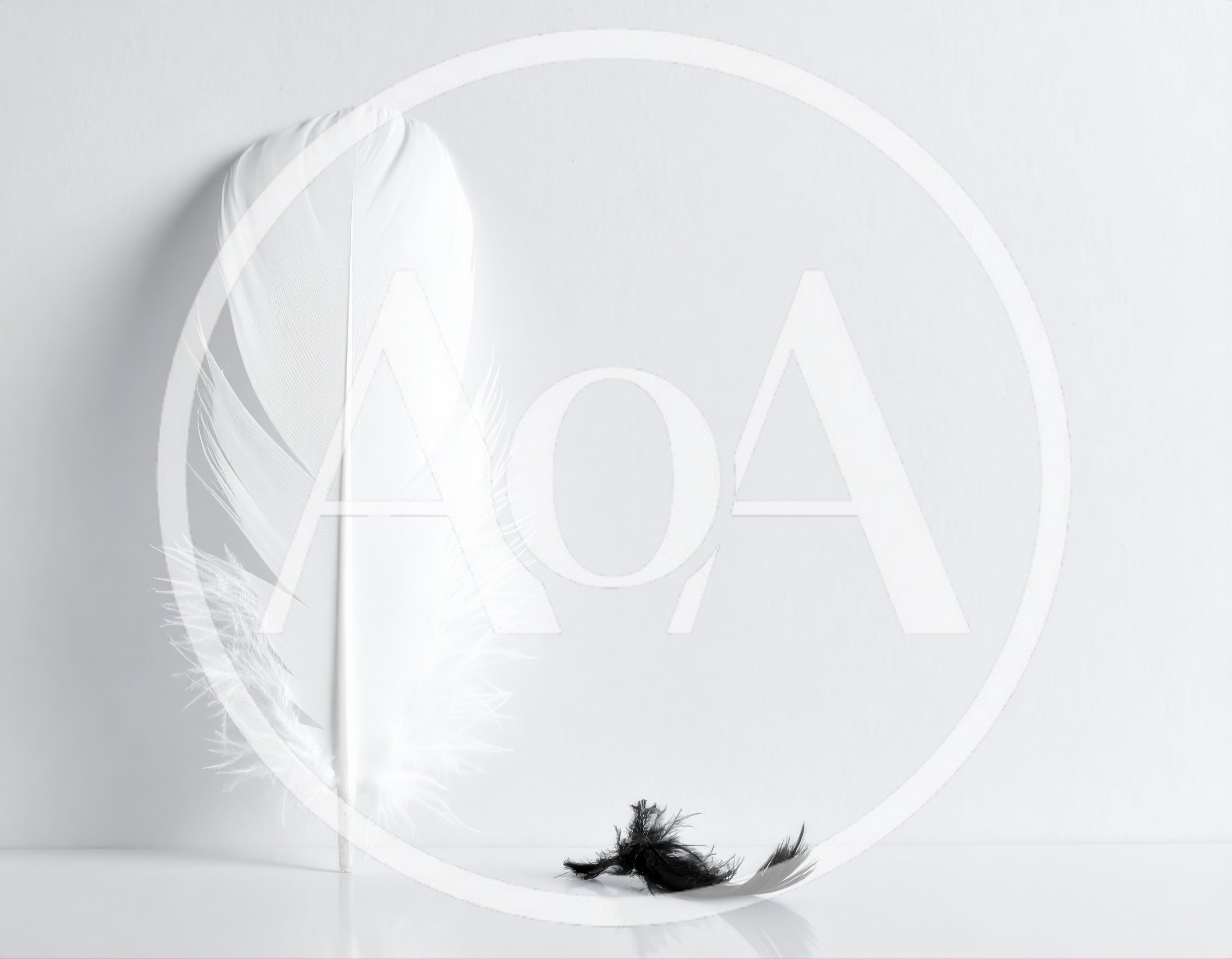 Large White Feather And Small Black Feather