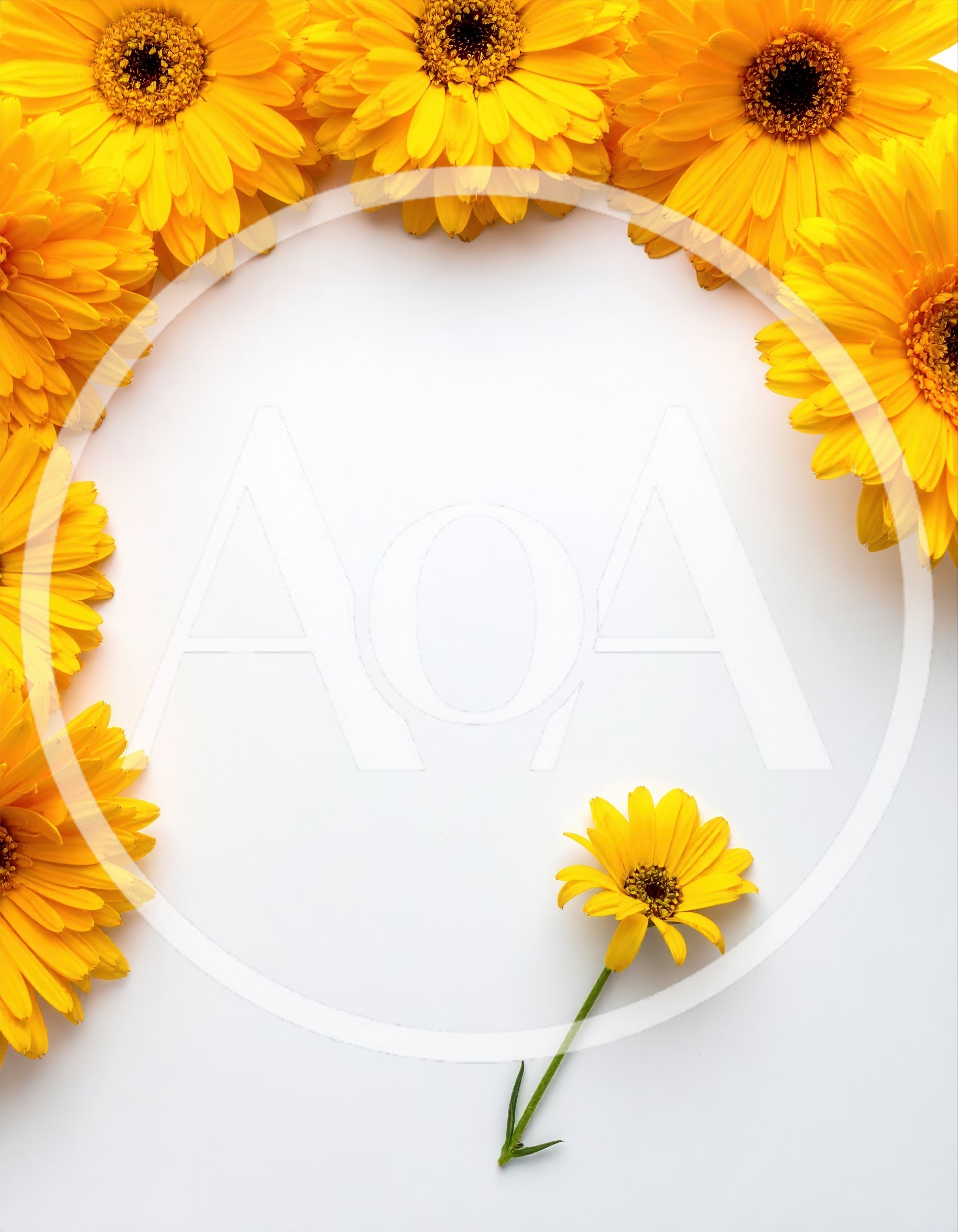 Yellow Calendula Flowers Arranged In A Frame